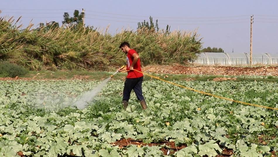 تلوّثت سمعة الزراعة بالصيت \