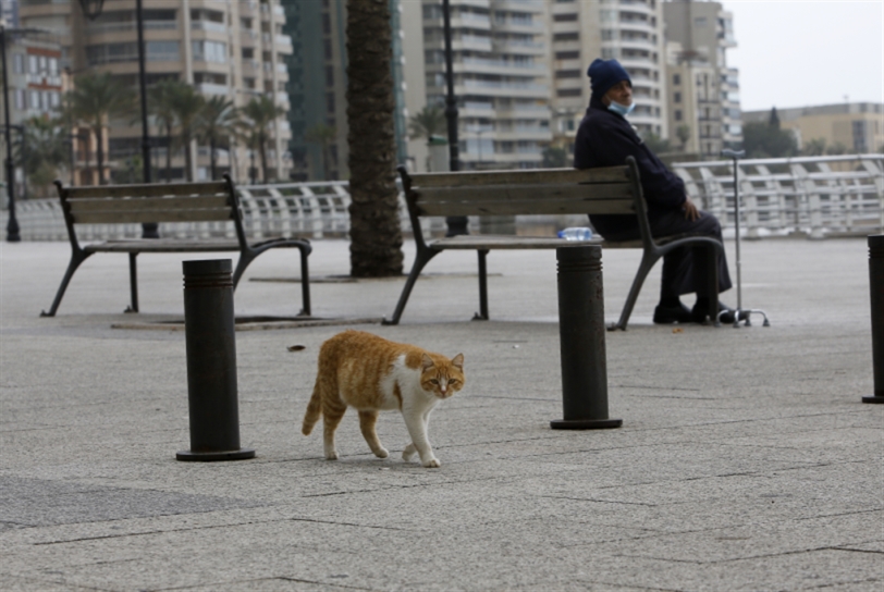ارتفعت أكلاف التغذية والرعاية الطبية وتراجع المتبرّعون (هيثم الموسوي)