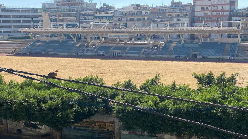 الملعب البلدي يأكله العشب والهجران