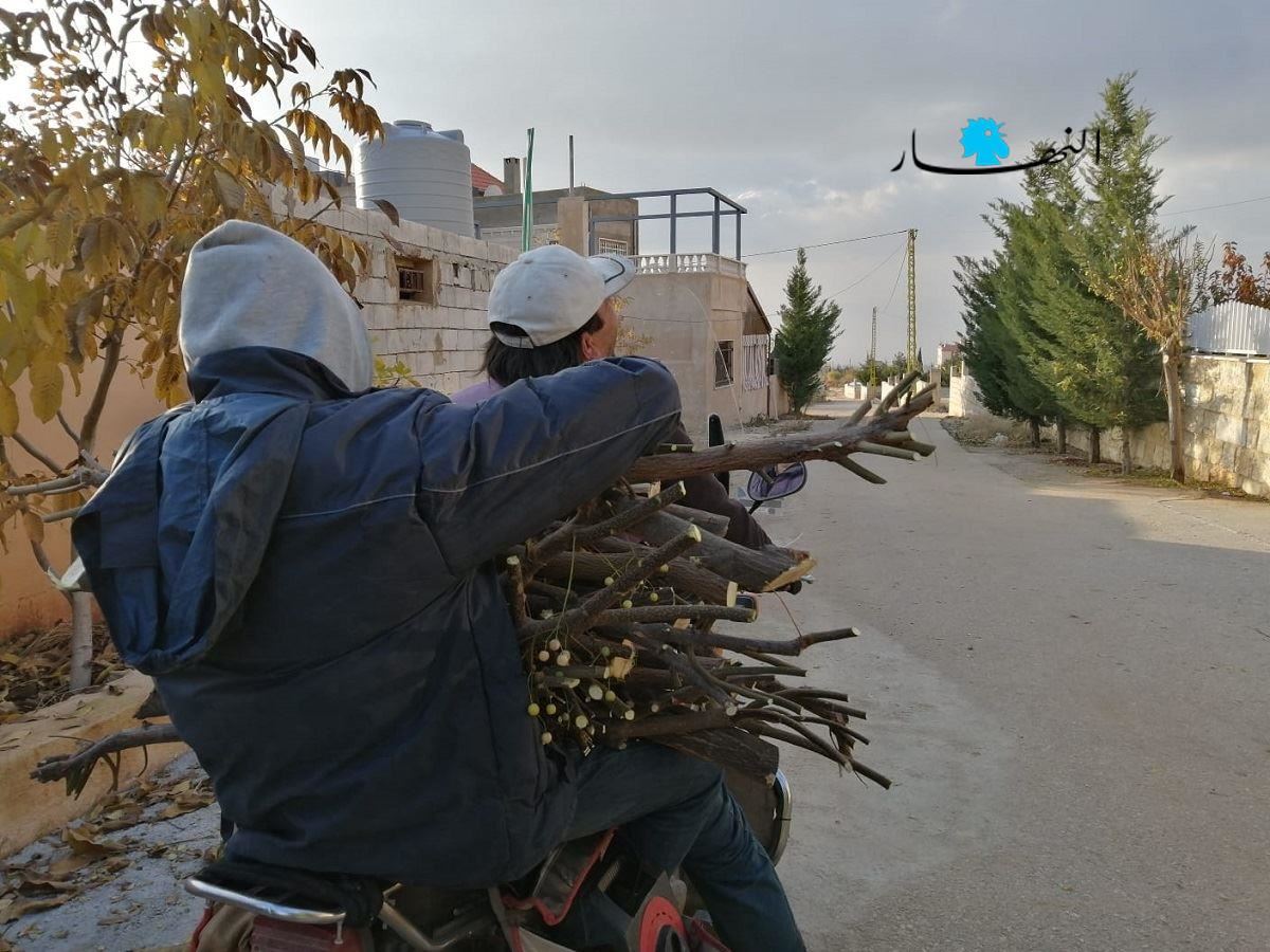 مواطنون ينقلون الحطب