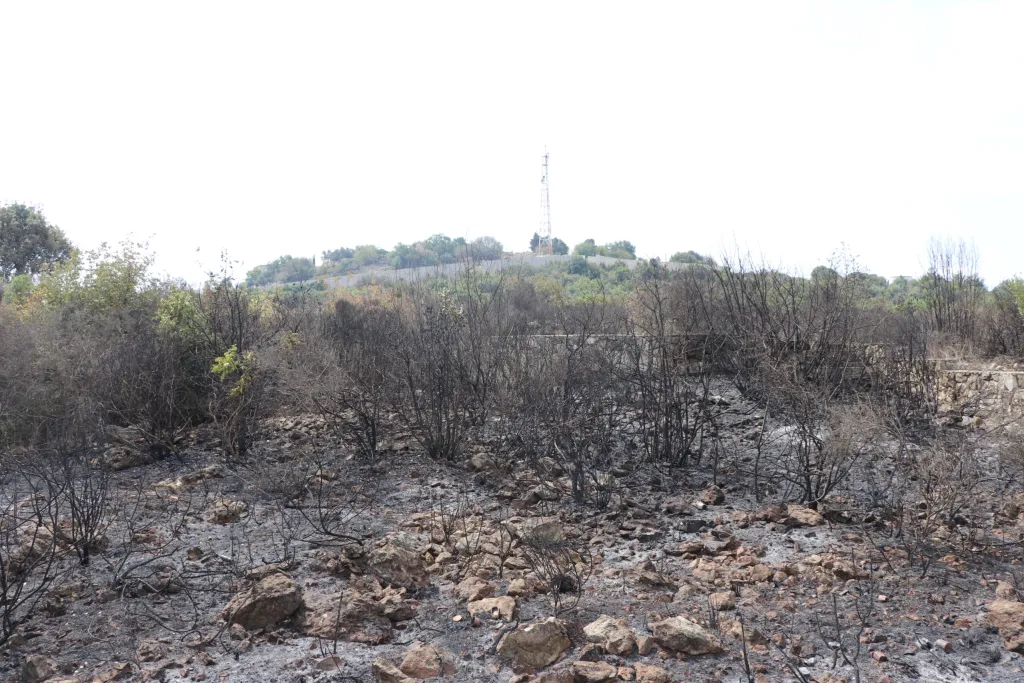 أحراج محروقة في بلدة علما الشعب