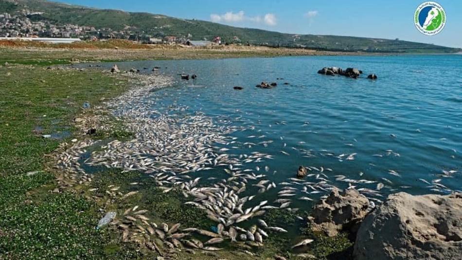 الأسماك مهددة كما المزروعات (مصلحة الليطاني)