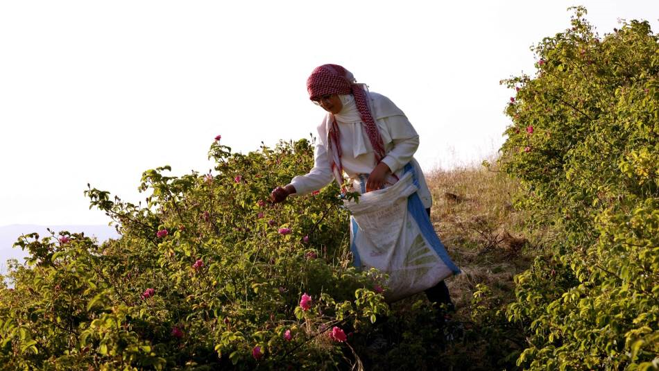 بعلبك-الهرمل بحاجة ماسة اليوم لسياسة إنمائية (Getty)