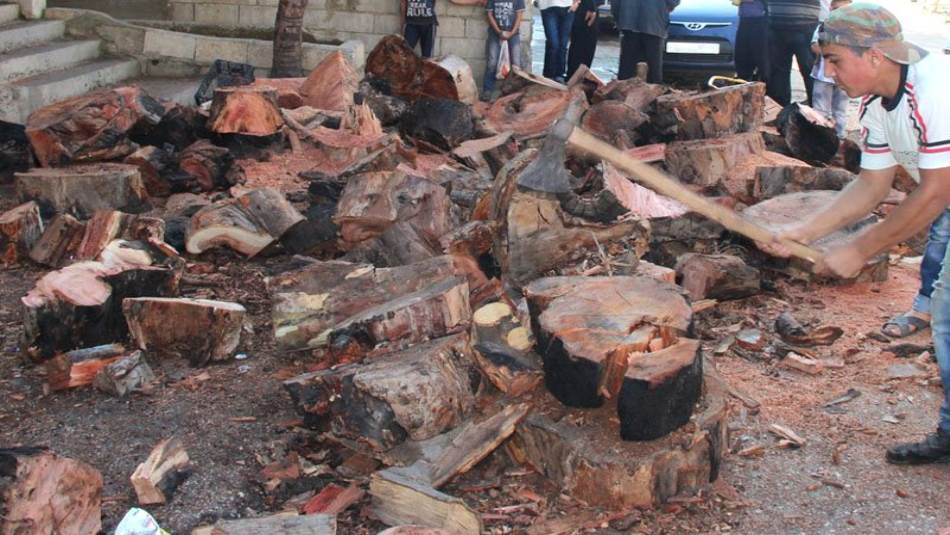 معظم الحرائق التي تندلع في هذه الفترة تأتي على خلفية التحطيب