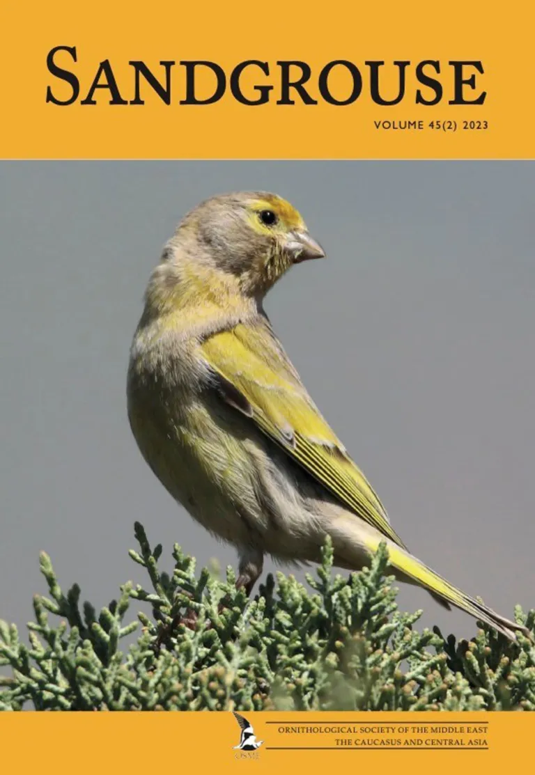 طائر السرين على غلاف المقال بعدسة فؤاد عيتاني