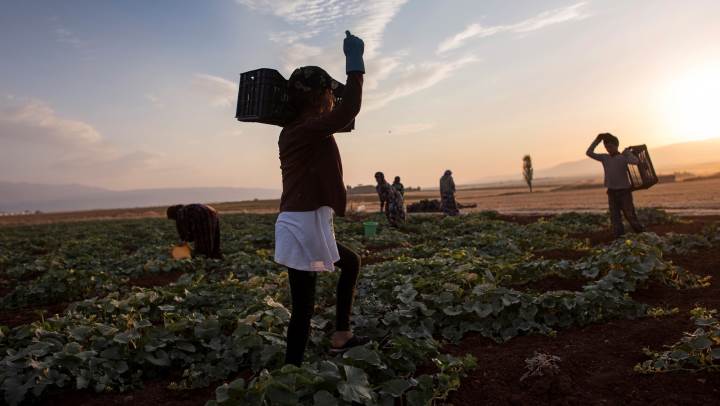 أغلب العمّال السوريين في لبنان يعملون في القطاع الزراعي (getty)