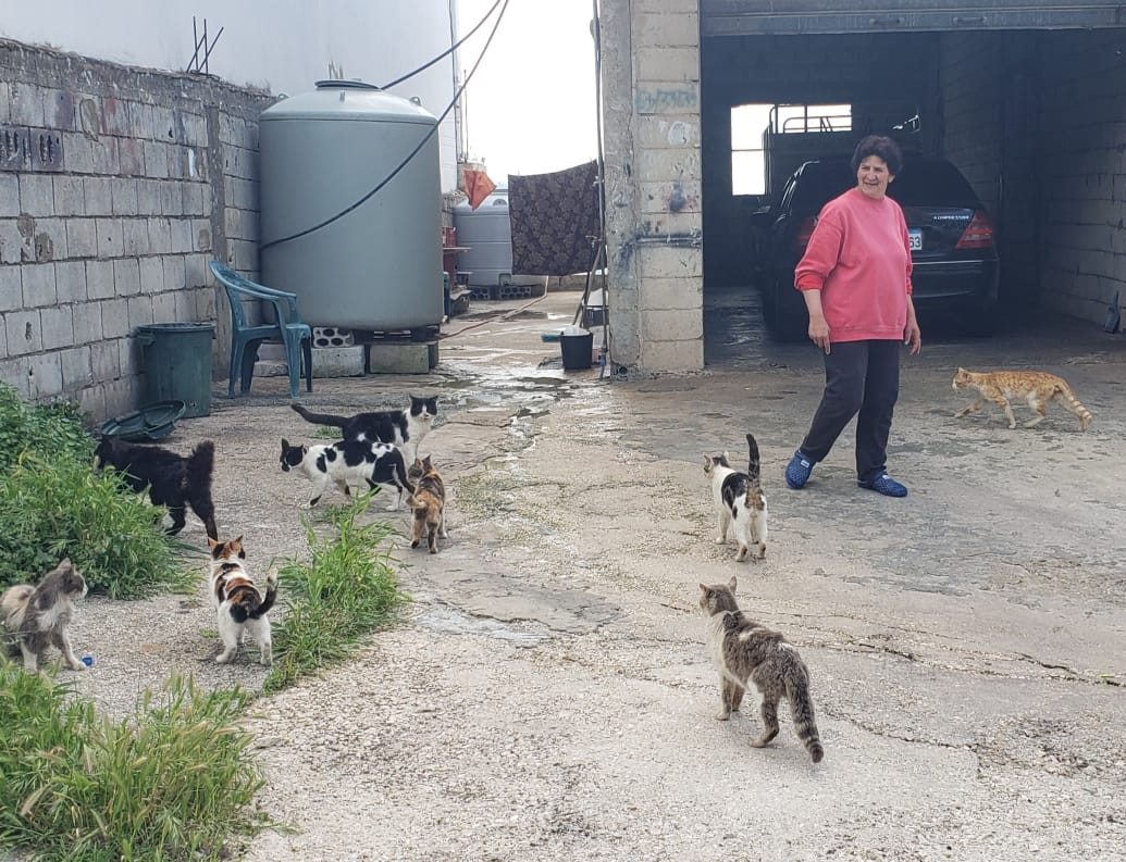 تلك الحيوانات الأليفة وجدت قلباً رحيماً لدى السيدة يسرا سعد 