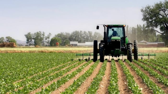 فلاح مكفي، سلطان مخفي.. الجود بالموجود