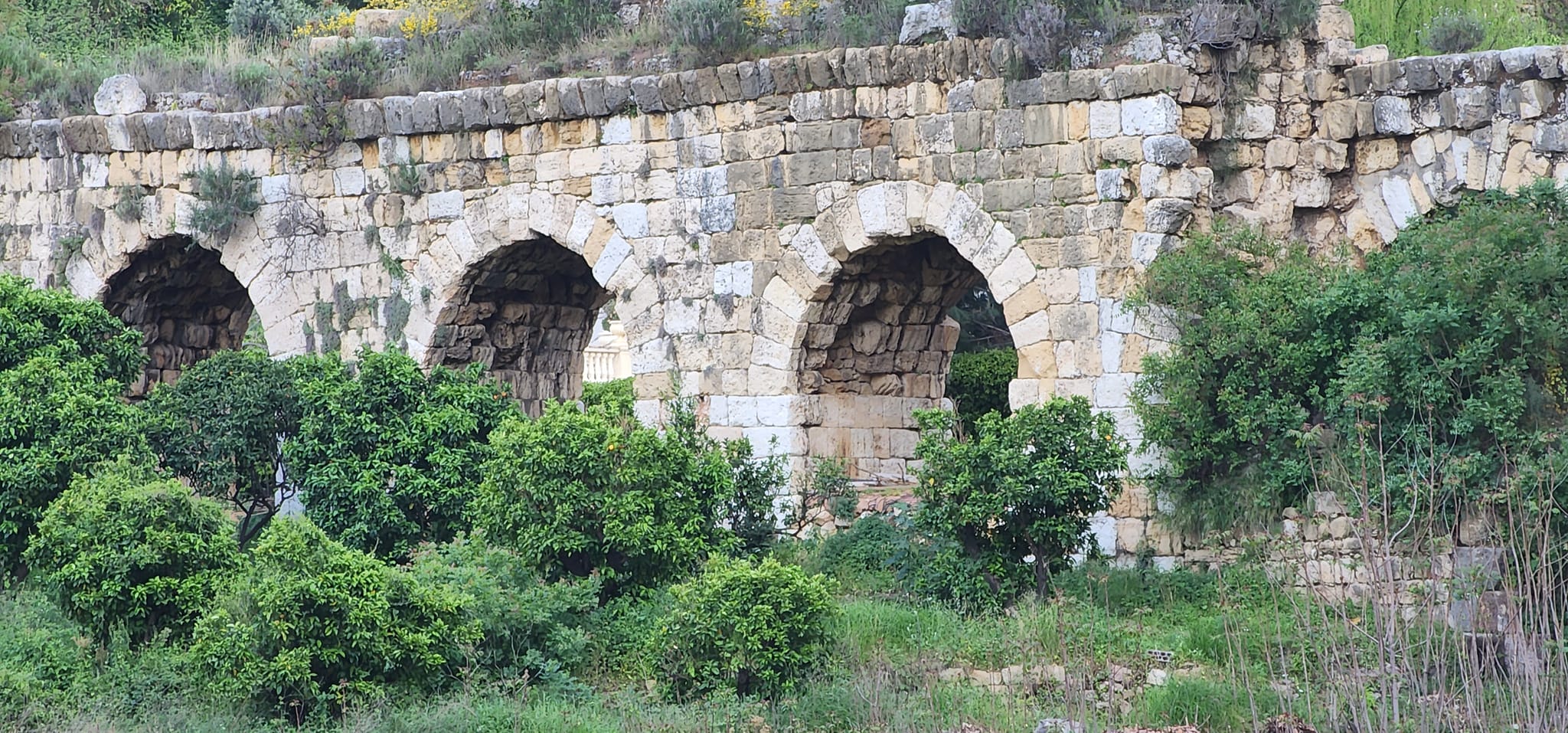 قناطر زبيدة