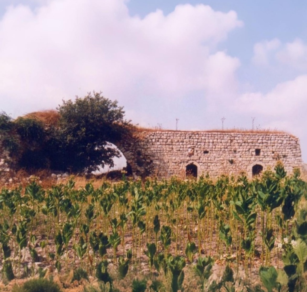 كنيسة مار يعقوب وآثار تعود إلى الحقبة الكنعانية والرومانية في قطمون