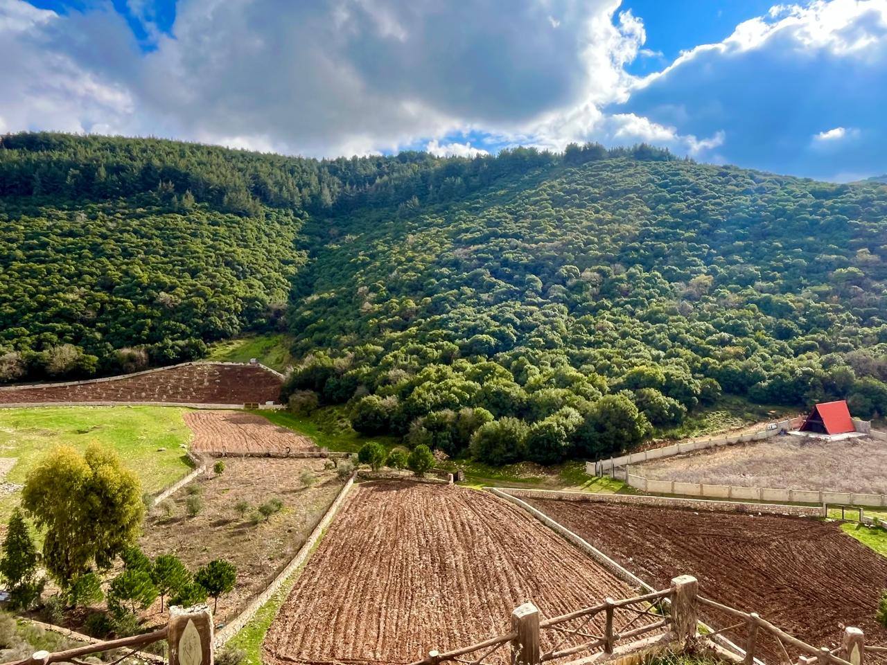 حرج تبنين (الصورة فاطمة ياسين)