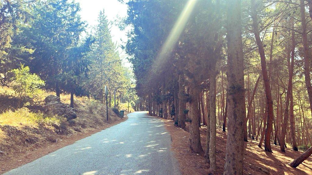 طرقات داخل الحرج