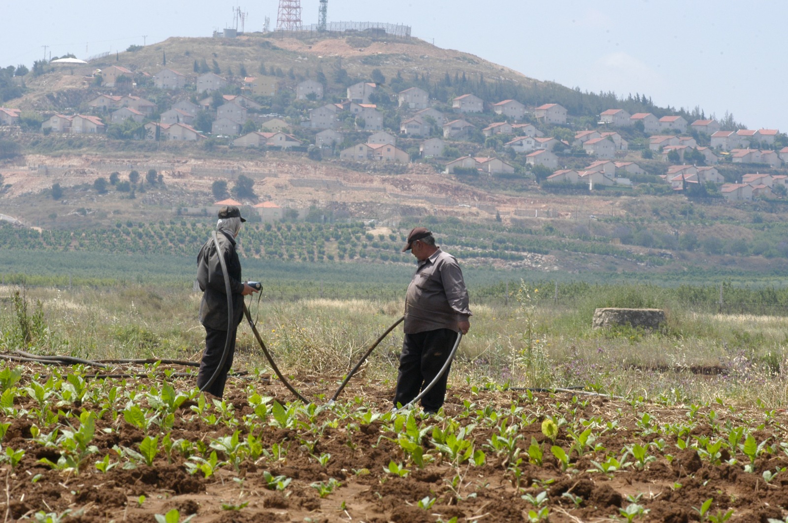 ظل المزارعون يعانون السياسات الحكومية المتعاقبة التي كانت تتيح الاستيراد من الخارج (كامل جابر - اندبندنت عربية)