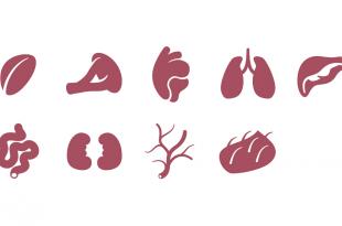 التبرع بالأعضاء من وجهة نظر شرعية