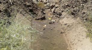 خليل ادريس: خافوا الله!