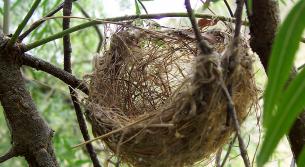 نعم.. للدنيا مدبّر! (قصة رمزية)