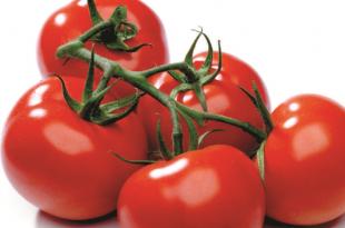 الإجابات الصحيحة للأسئلة الغذائية الأكثر شيوعاً