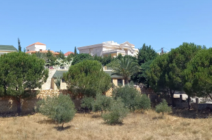 دونم وربع أرض على مطلّ الجبل معروضة للبيع في الخيام