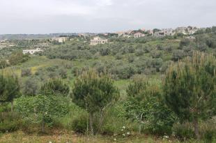 عقار صغير في الحي الشمالي للخيام معروض للبيع