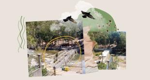 بذريعة الترميم.. جريمة بيئيّة يتعرّض لها نهر الحاصباني