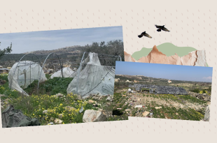 مزارعو القرى الحدوديّة: مساعدات وزارة الزراعة هزيلة أو غير متوافرة