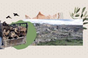 راميا الحدودية المدمّرة تحت قبضة اللصوص