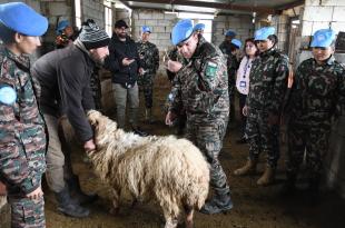 الكتبية الهندية تنظّم مخيماً طبياً للمساعدة البيطرية في بلدة شقرا