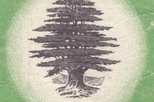 هيفاء نصّار: بعدما رجعت أصحاب الأرض ربيع 2025