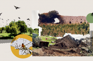 لكيلا تصبح قطمون قرب رميش نسيا منسيّا