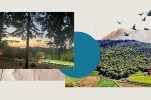 حرج تبنين فسحة الجنوبيّين للتنزّه على خط النار