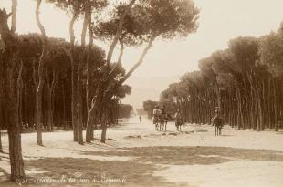 كامل جابر: حرج بيروت.. ذاكرة العاصمة ورئتها العليلة