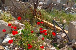 جلال عبدالله: الخيام أمام الإعمار الثالث، مسؤولية وطنية ومفترق نحو المستقبل