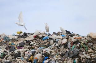 مكبّ كفرتبنيت يعود للاشتعال