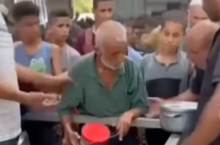 المجاعة في غزة.. صرخة إنسانية في وجه الصمت العالمي