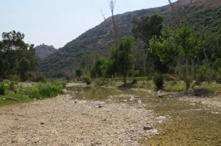 الليطاني يجف... والمنتزهات مغلقة في ذروة الصيف