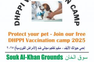 الكتيبة الهندية في اليونيفيل تنظّم مخيم تطعيم مجاني للحيوانات الأليفة