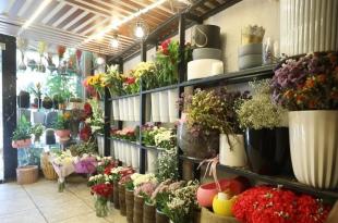 أعراس لبنان بين الرفاهية والكلفة التي تثقل الجيوب