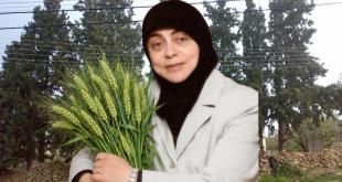 هيفاء نصّار: الفريكة الخيامية