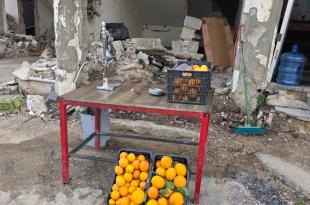 عودة الحياة إلى الخيام تكون بدفع التعويضات.. وليس بالبيانات