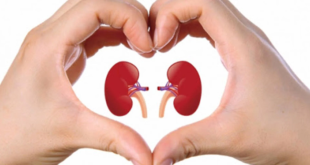 مواطن لبناني مستعد للتبرع بكليته.. فئة الدم B+