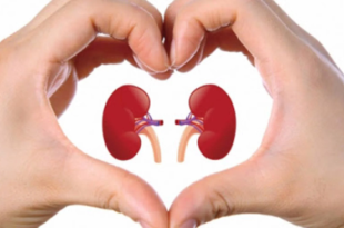 مواطن لبناني مستعد للتبرع بكليته.. فئة الدم B+