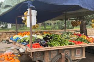 أرزاق تحت القصف: كيف تحوّلت الأرصفة إلى أسواق للنازحين